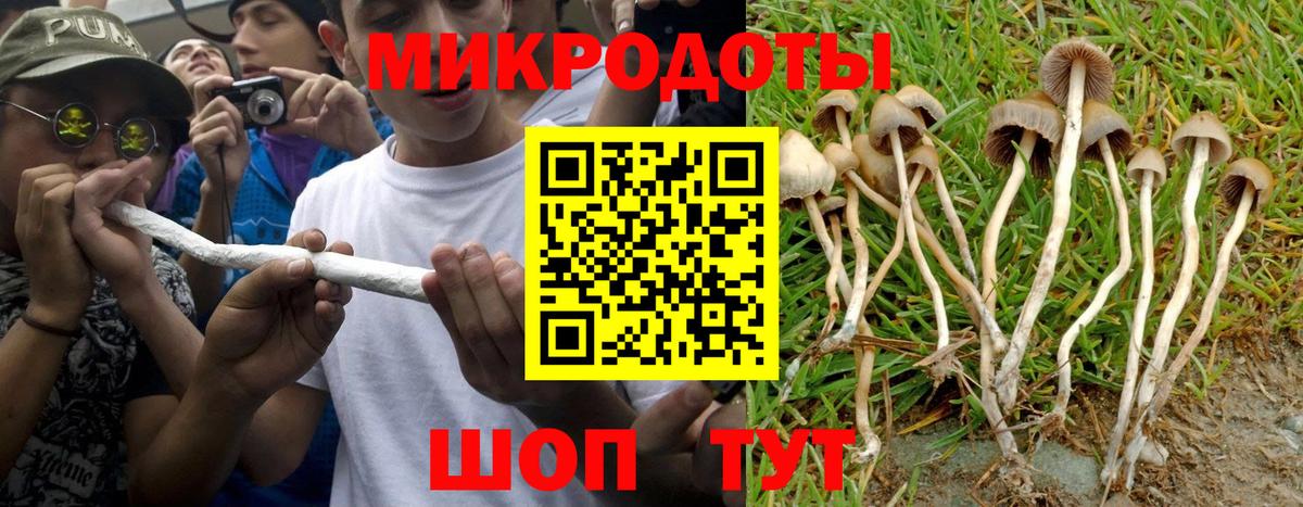 Псилоцибиновые грибы Magic Shrooms Сокол
