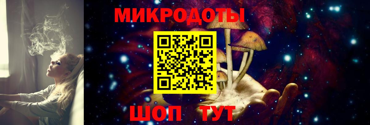 Сокол  Псилоцибиновые грибы мухоморы  Псилоцибиновые грибы прущие грибы  Вход с VPN 